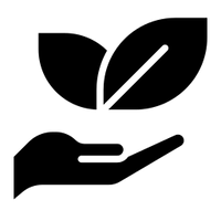 Clean & Safe Formula